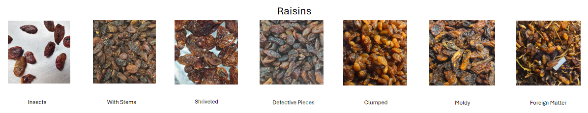 Raisin Optical Sorting Performance.png